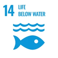 life-below-water